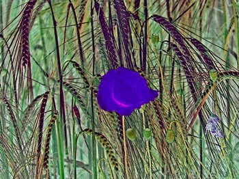 F 063B